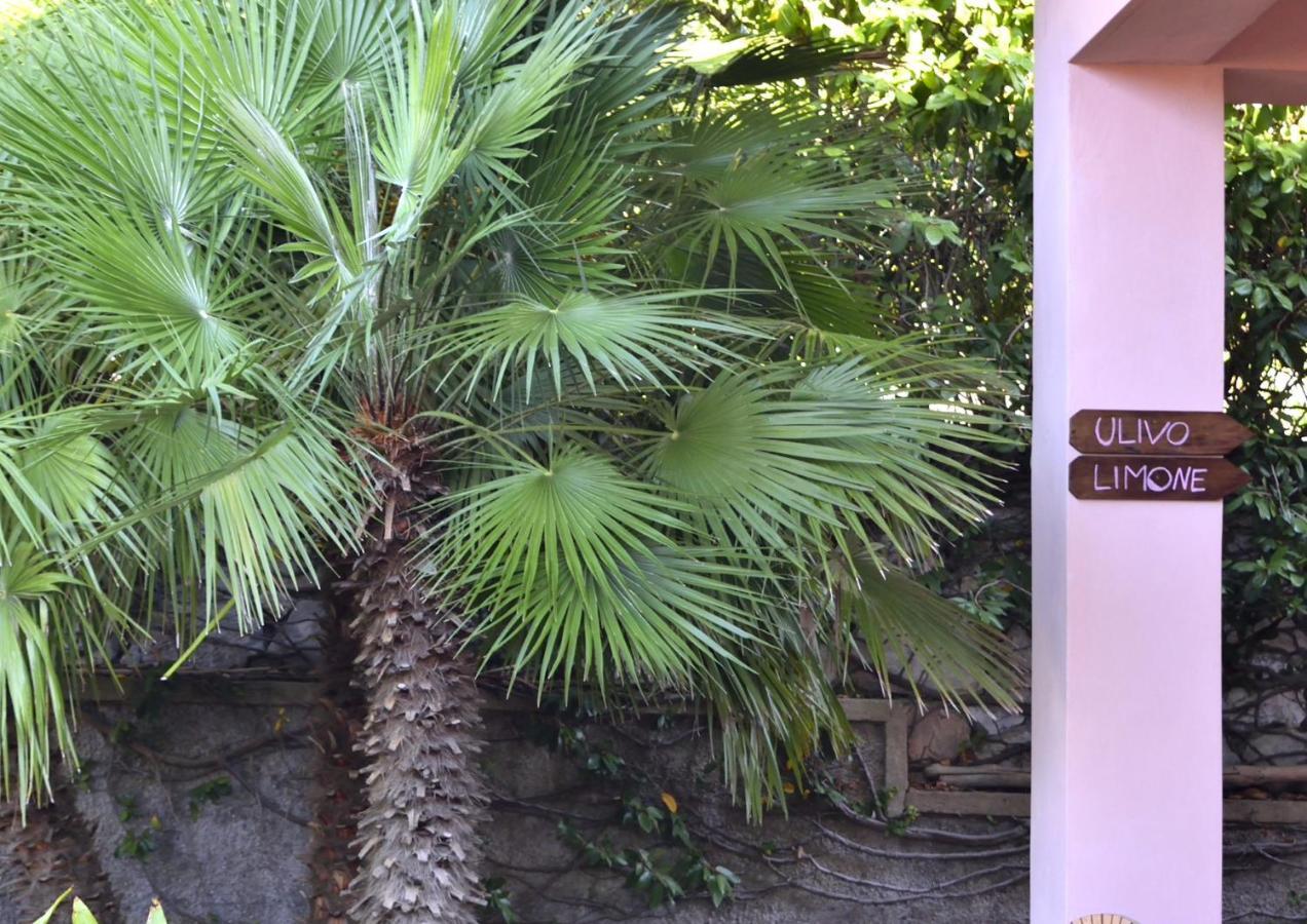 Villa Fiore Apartments Portoferraio Bagian luar foto